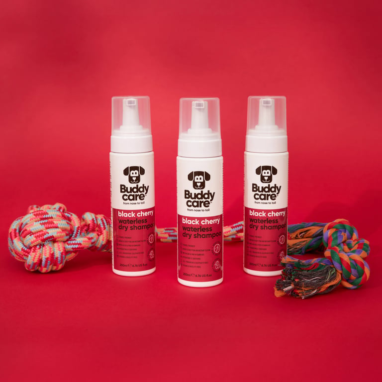 Shampooing Sec Cerise Noire - imagen 3 de 5