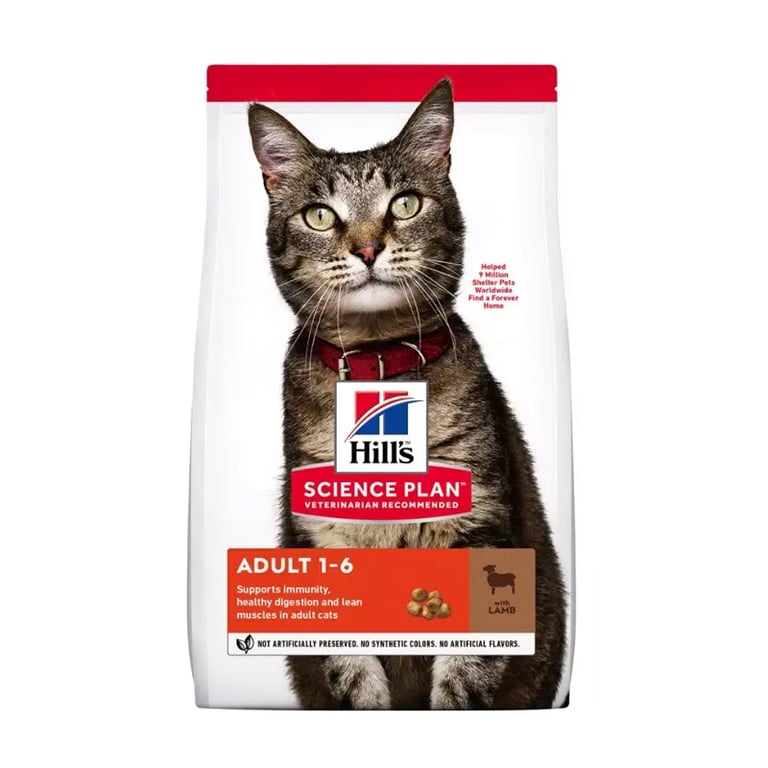 Katze Adult Lamm