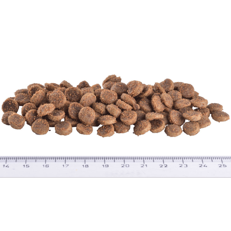 Veterinary Cat Renal - imagen 8 de 8