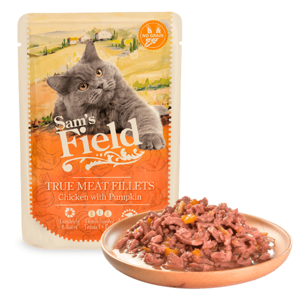 Chicken Fillets with Pumpkin Pouch
