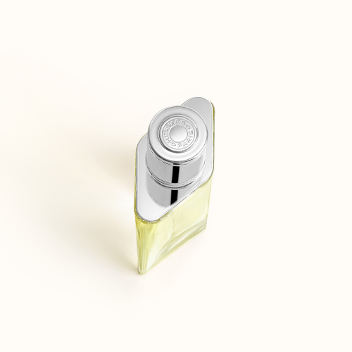 H24 EDT 100 ml von Hermes