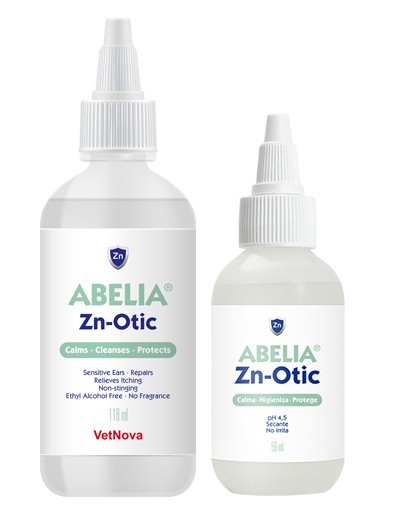 Abelia Znotic