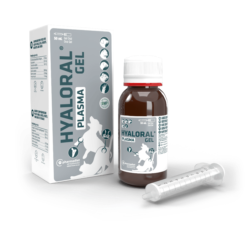 Hyaloral Plasma Gel