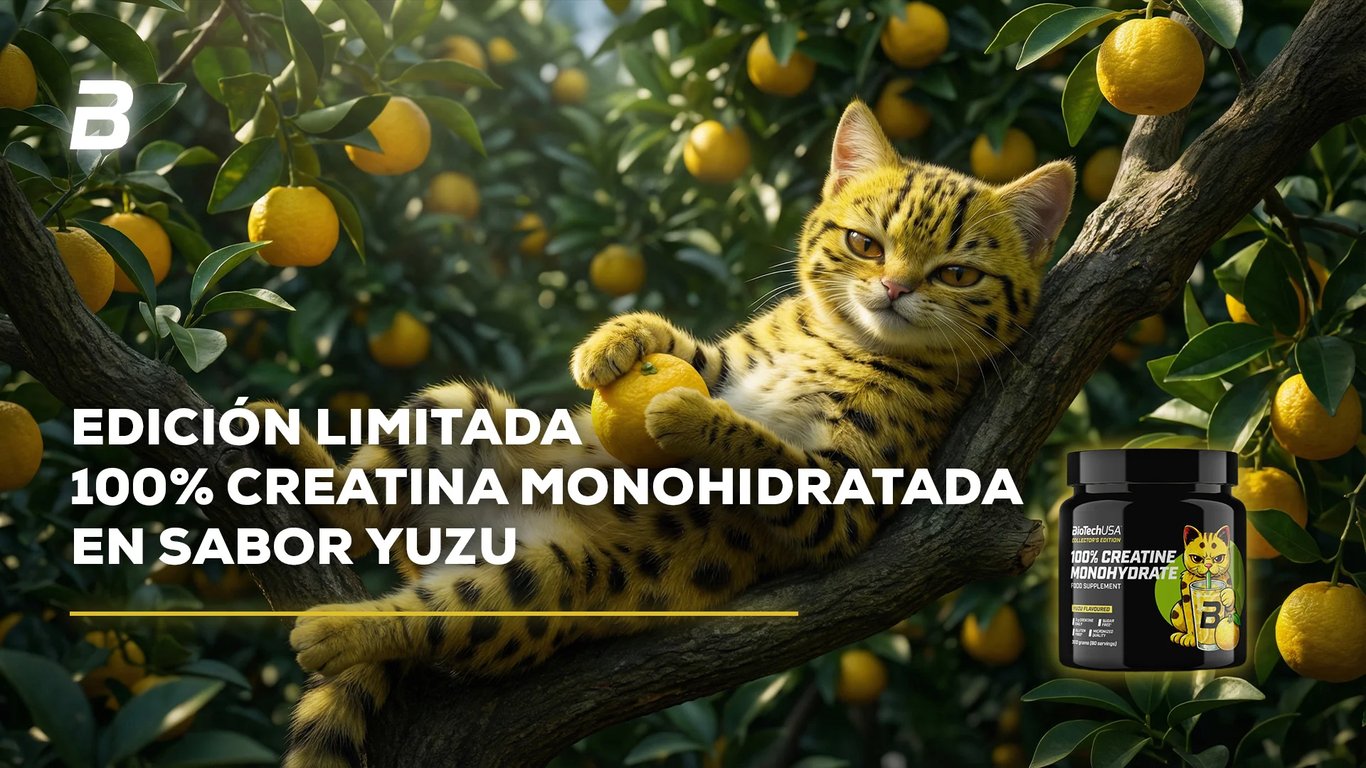 Creatine Monohydrate Yuzu - imagen 3 de 4