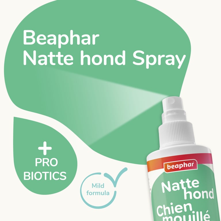 Spray Anti-Odeur Chien Humide - imagen 3 de 5