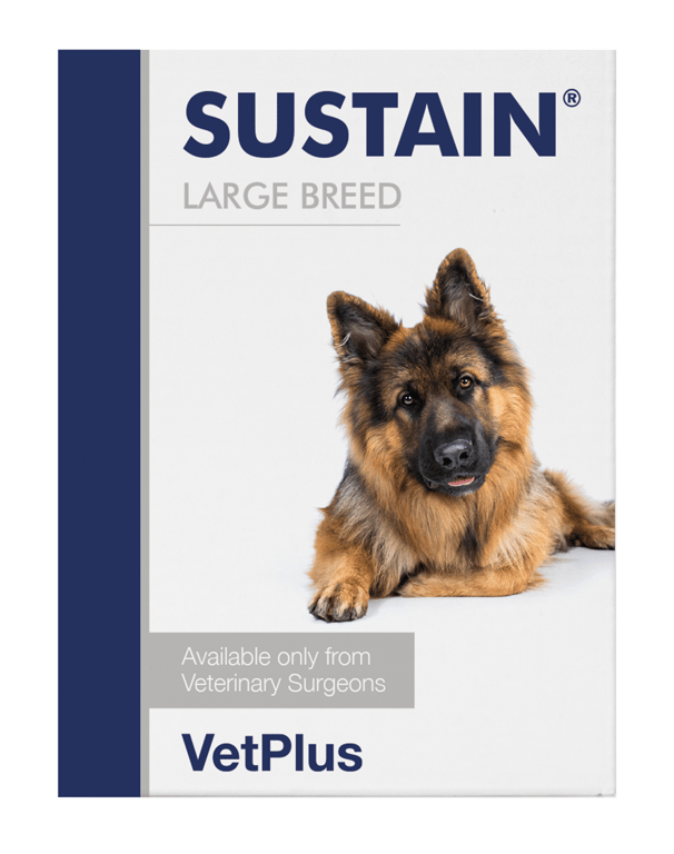 Sustain Perro Razas Grandes