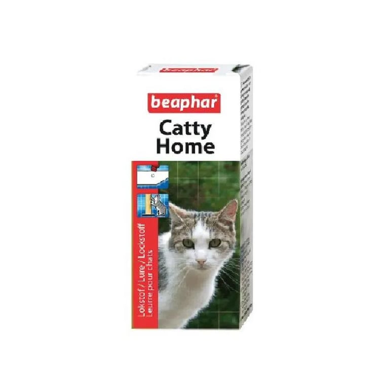 Catty Home
