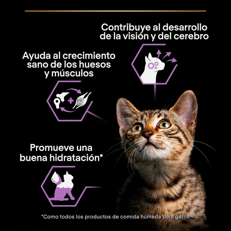 Pouch Kitten Healthy Start Dinde - imagen 4 de 7