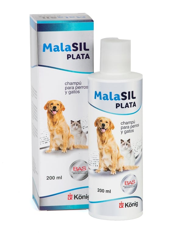 Malasil Plata Champú