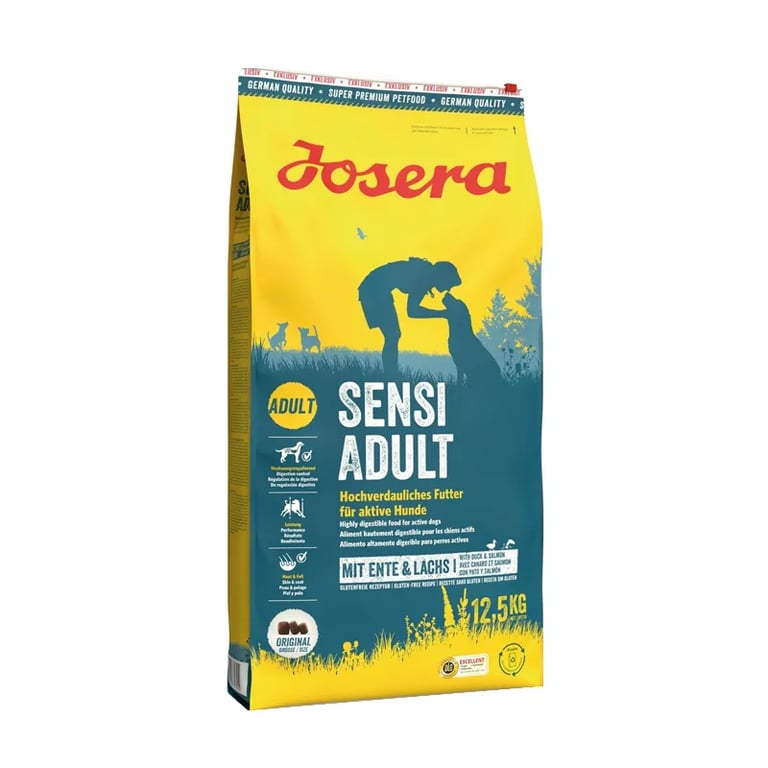 Chien Sensi Adult