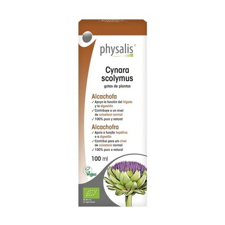 Cynara Scolymus