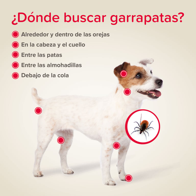Collier Antiparasitaire Canishield 48 cm - imagen 5 de 5