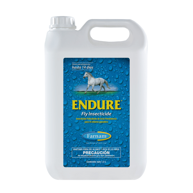 Endure - imagen 4 de 4