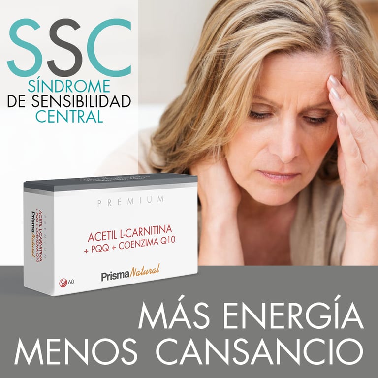 Acétyl L-Carnitine + PQQ + Q10 - imagen 2 de 4