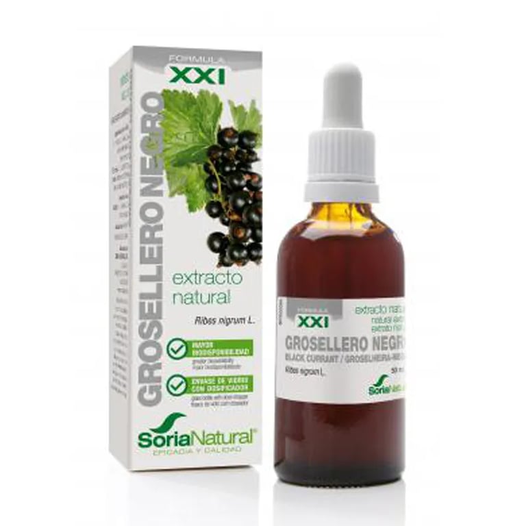 EXTRATO NATURAL DE GROSELHEIRA NEGRA XXI