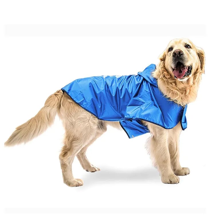 Sailor Blue Manteau Protège Contre Pluie et Vent TG 55