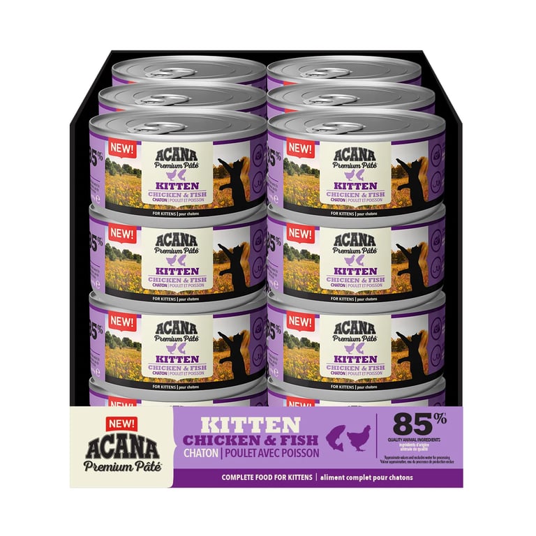 Premium Pate Lachs & Huhn Kätzchen Katze Kätzchen