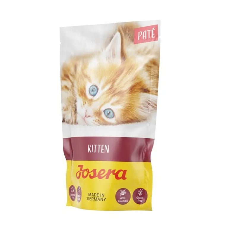 Pâtée pour Chatons