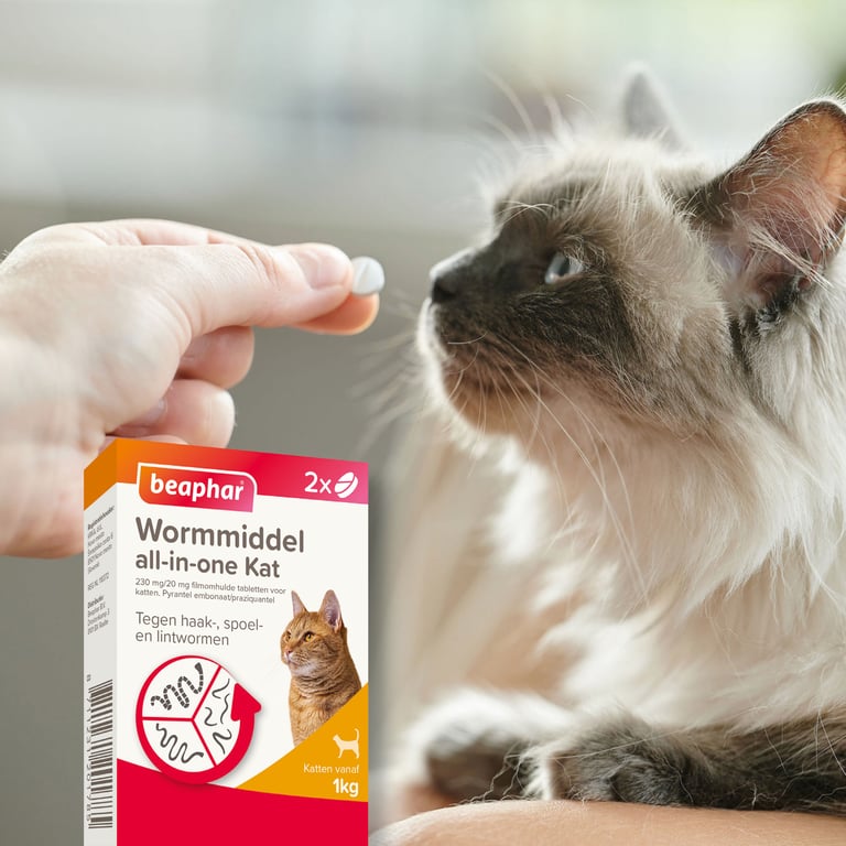 Vermipure Chats - imagen 5 de 5