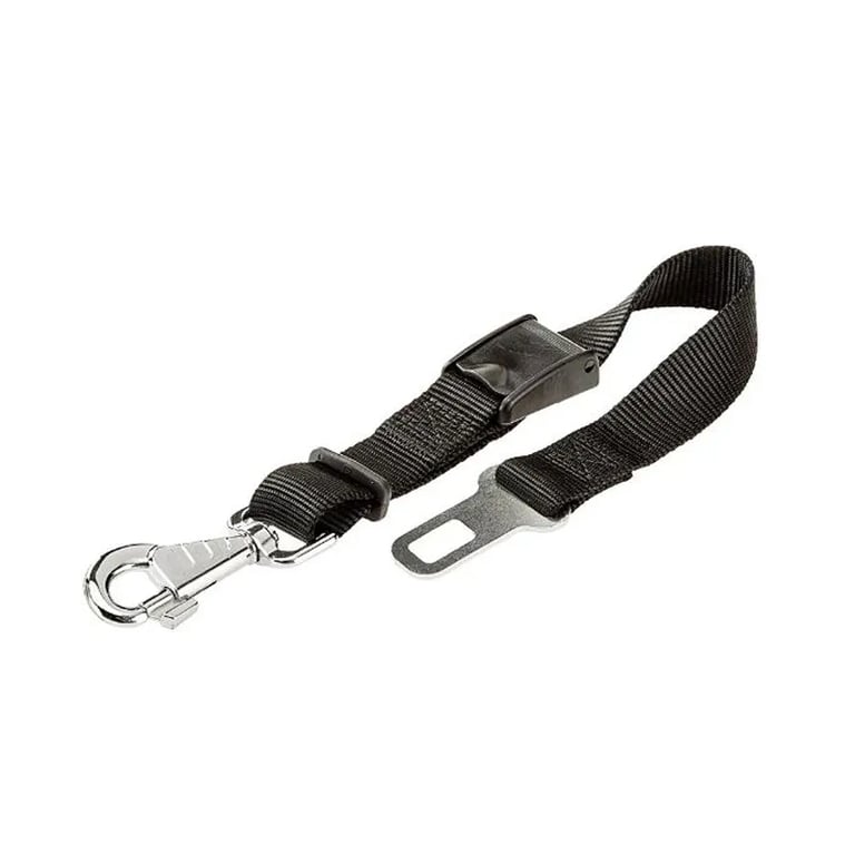 Cinturon De Seguridad