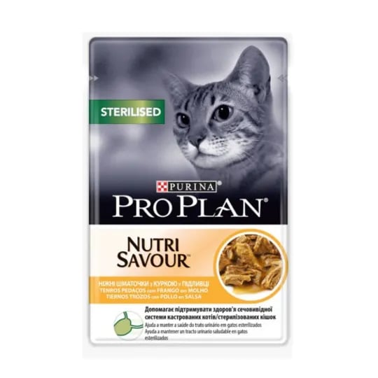 Gato Esterilizado Frango Com Molho
