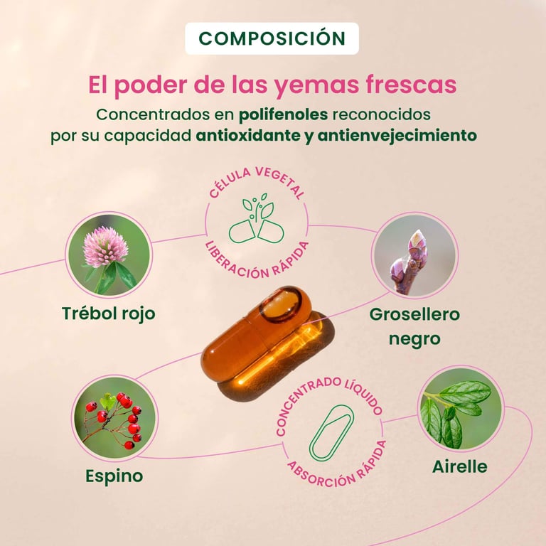 Gemmocaps Menopause - imagen 4 de 6