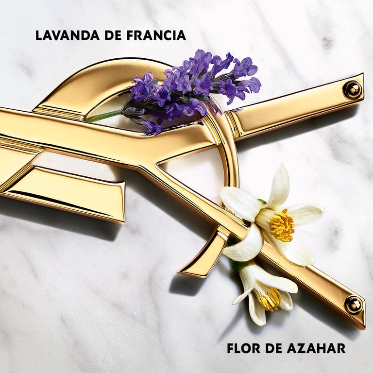 Libre EDP Vaporizador 50 ml da Yves Saint Laurent