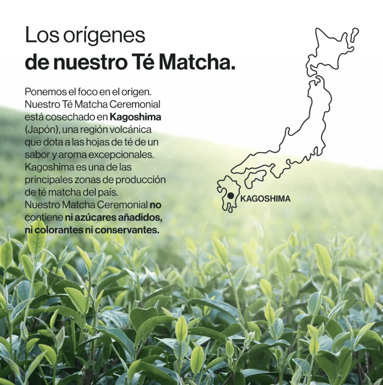 Tè Matcha Giapponese Biologico Grado Cerimoniale 80g di Zenement
