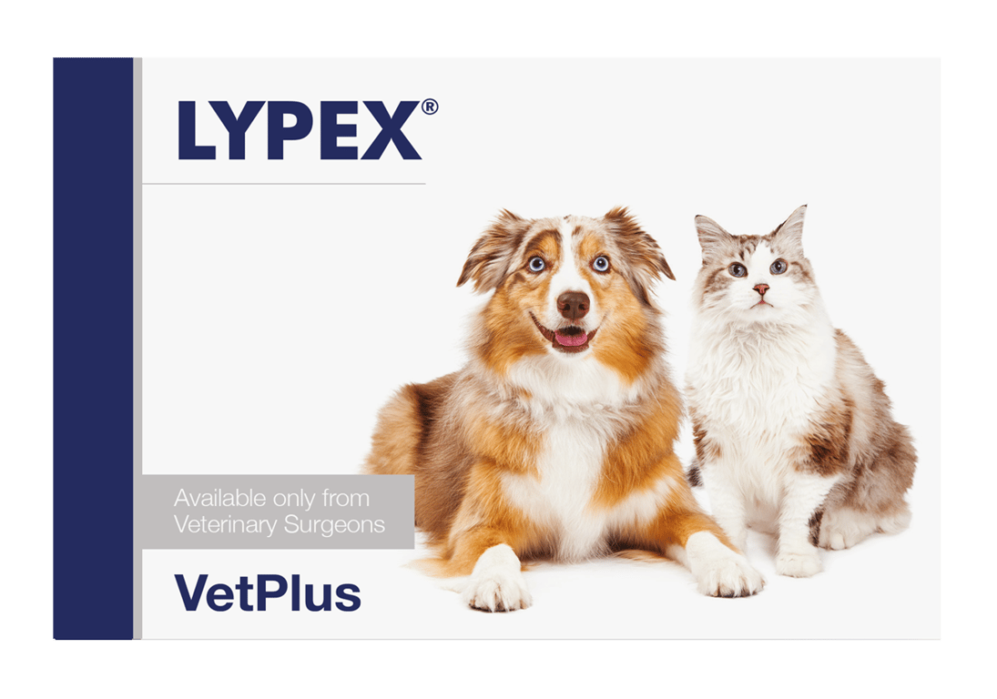 Lypex - imagen 2 de 2