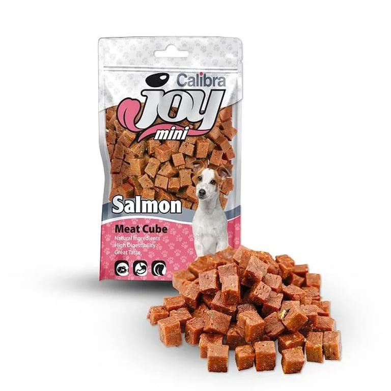 Dog Joy Dés Saumon