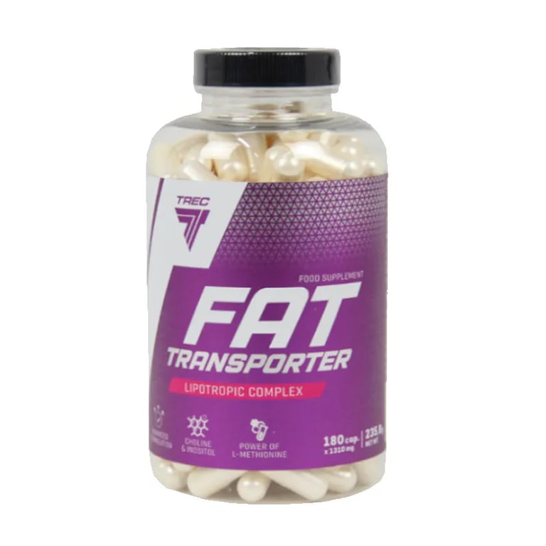 Fat Transporter