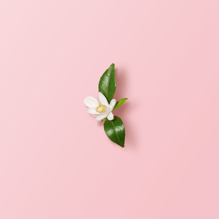 My Way EDP - imagen 6 de 10