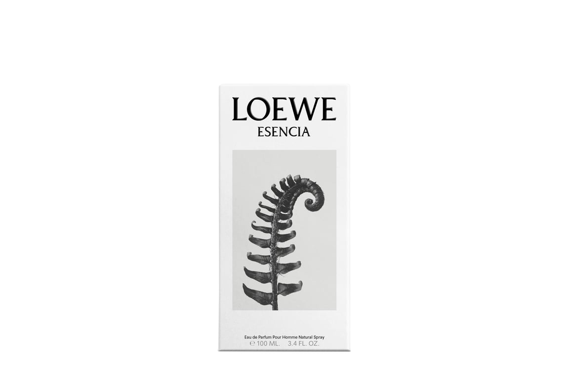 Loewe Esencia Homme EDP 100 ml di Loewe