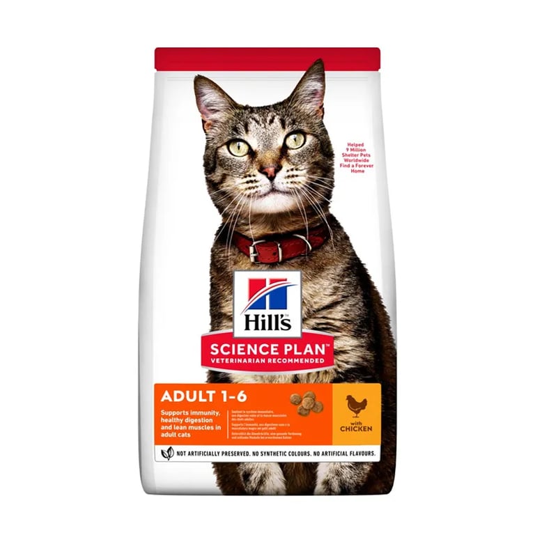 Gato Adulto Pollo