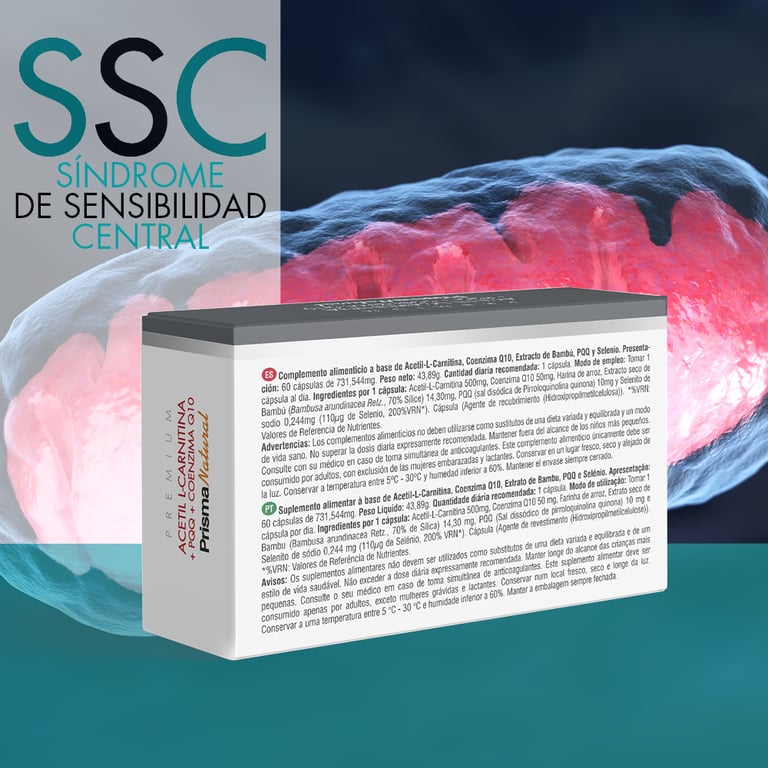 Acétyl L-Carnitine + PQQ + Q10 - imagen 3 de 4