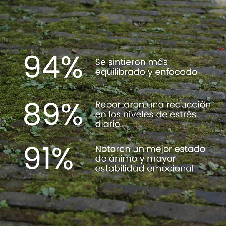 Relax Ashwagandha - imagen 7 de 10