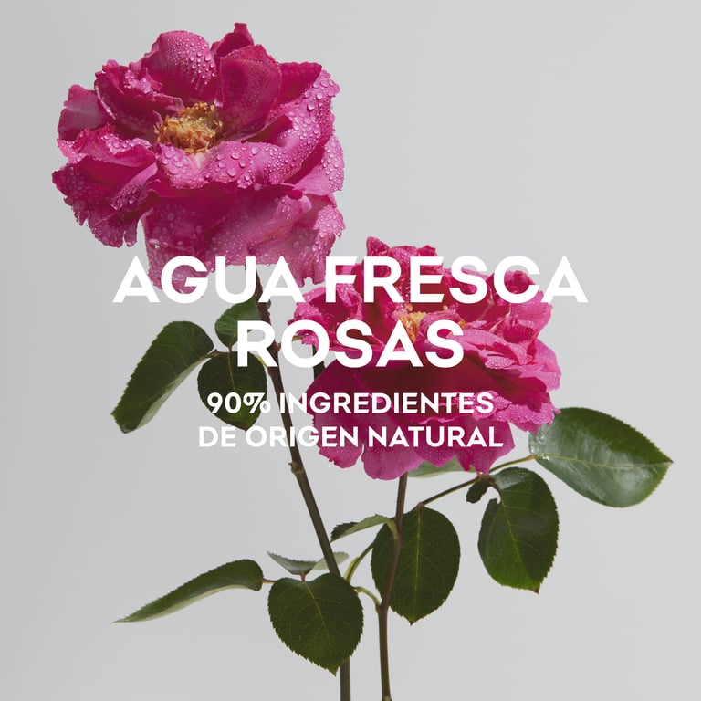 Agua Fresca De Rosas Edt Spray 120 ml von Adolfo Dominguez