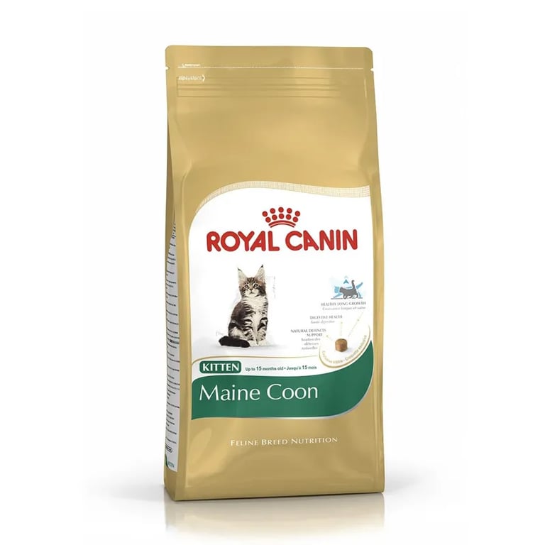 Royal Canin Kitten Maine Coon Gatito De Raza