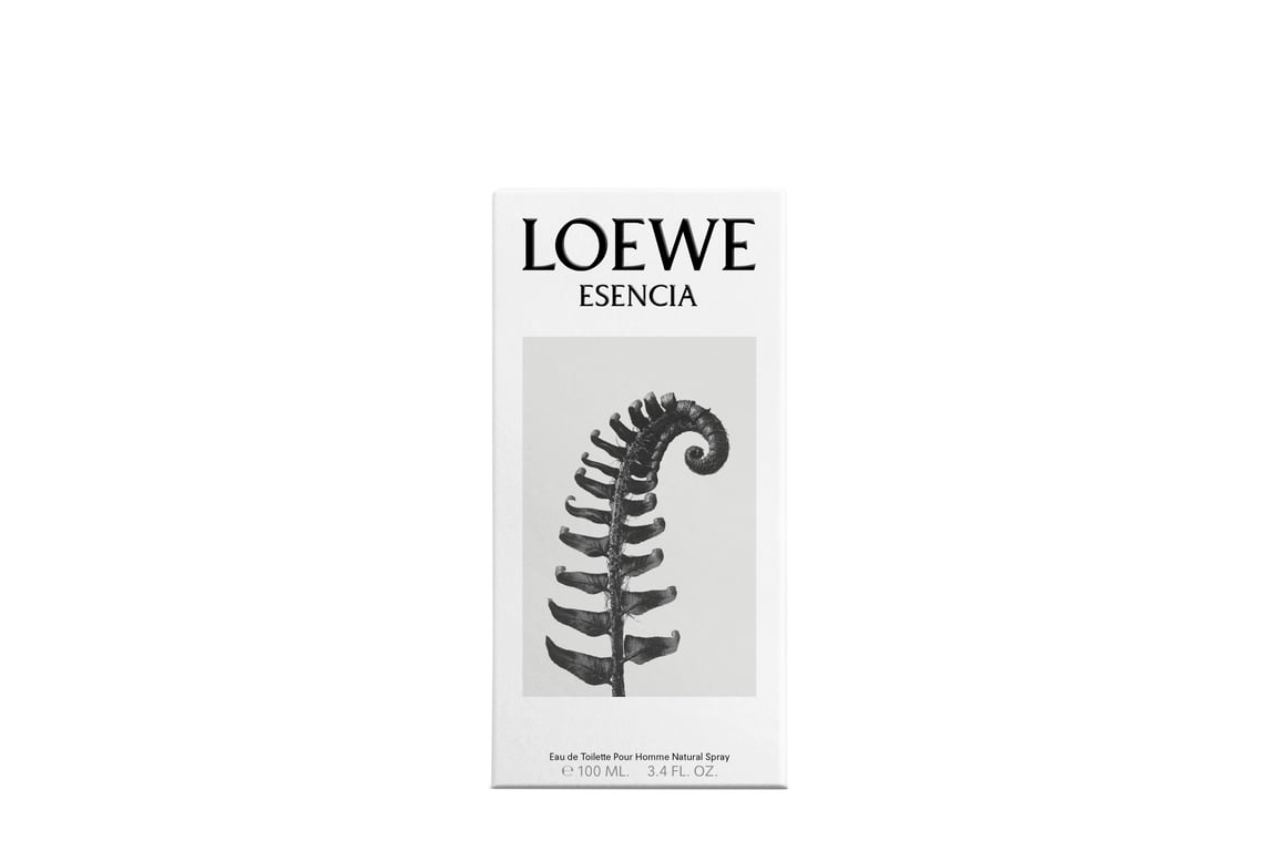 Esencia Homme EDT 100 ml von Loewe