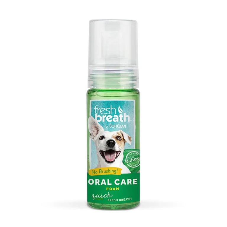Fresh Breath Oral Care Foam Mint