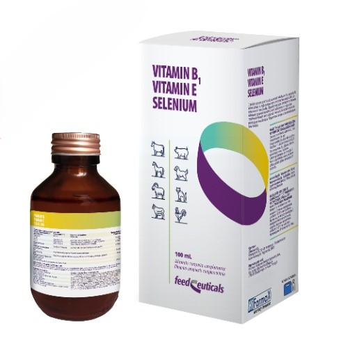 Vitamin B1 E Selenium
