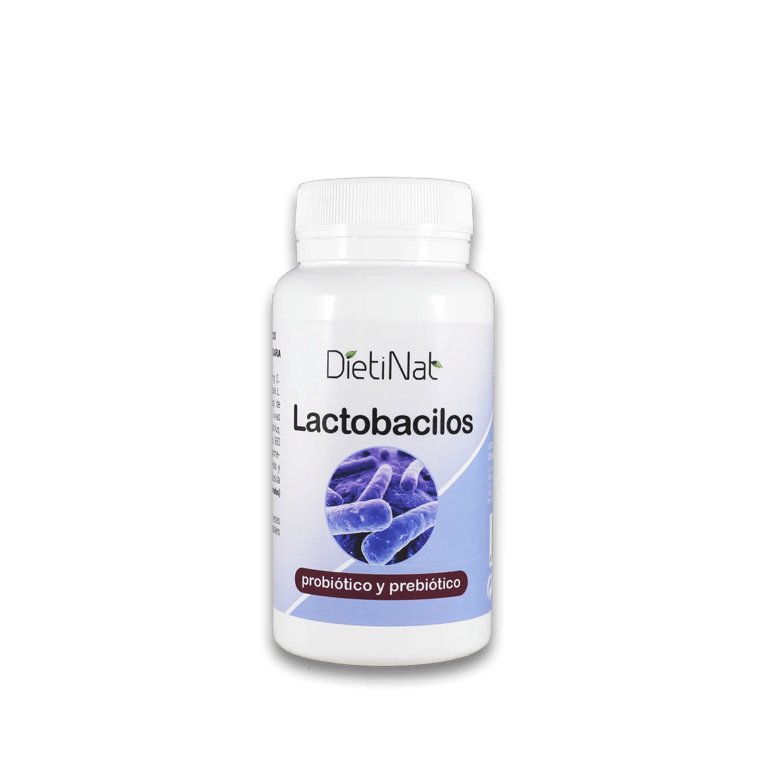 Lactobacilos - imagen 2 de 2