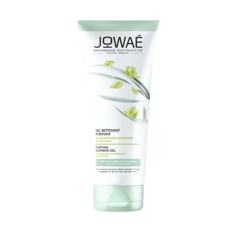 GEL LIMPIADOR PURIFICANTE