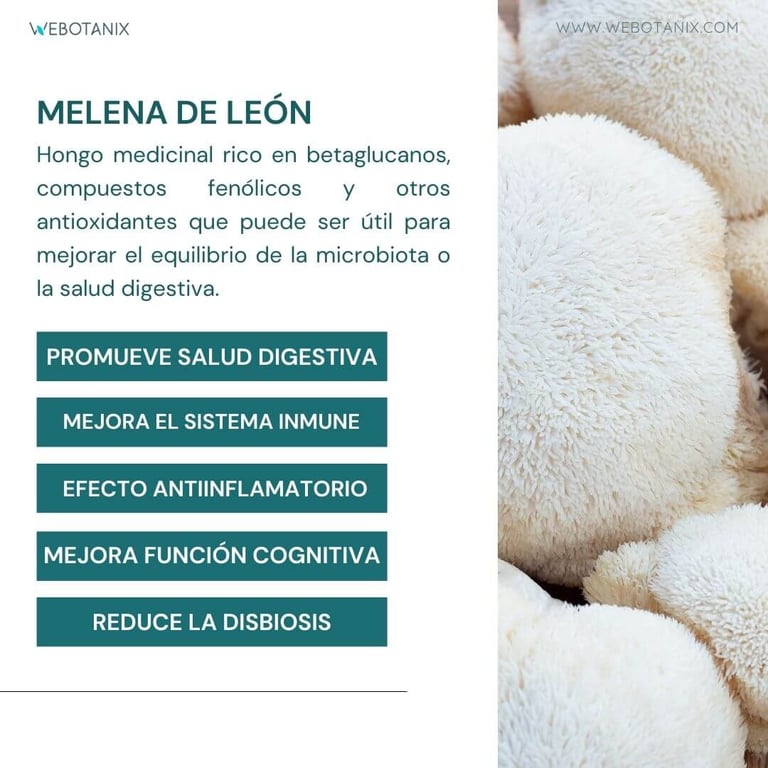 Probiotax Microbiota - imagen 7 de 11