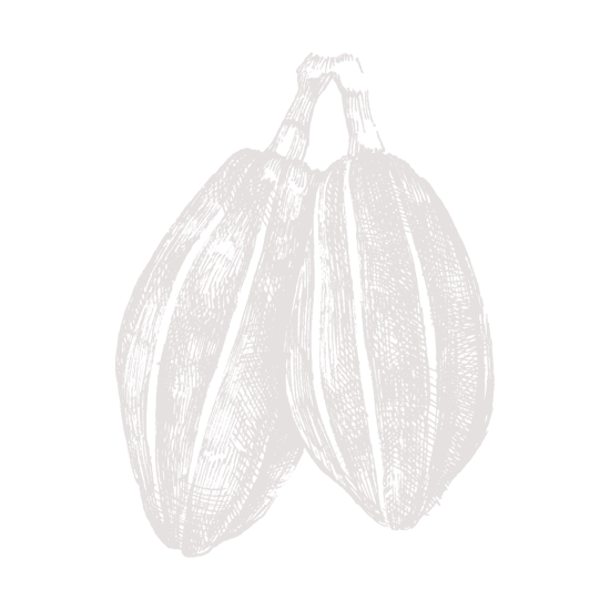 Chocolate Negro Ecológico 91% Cacao Congo - imagen 2 de 4