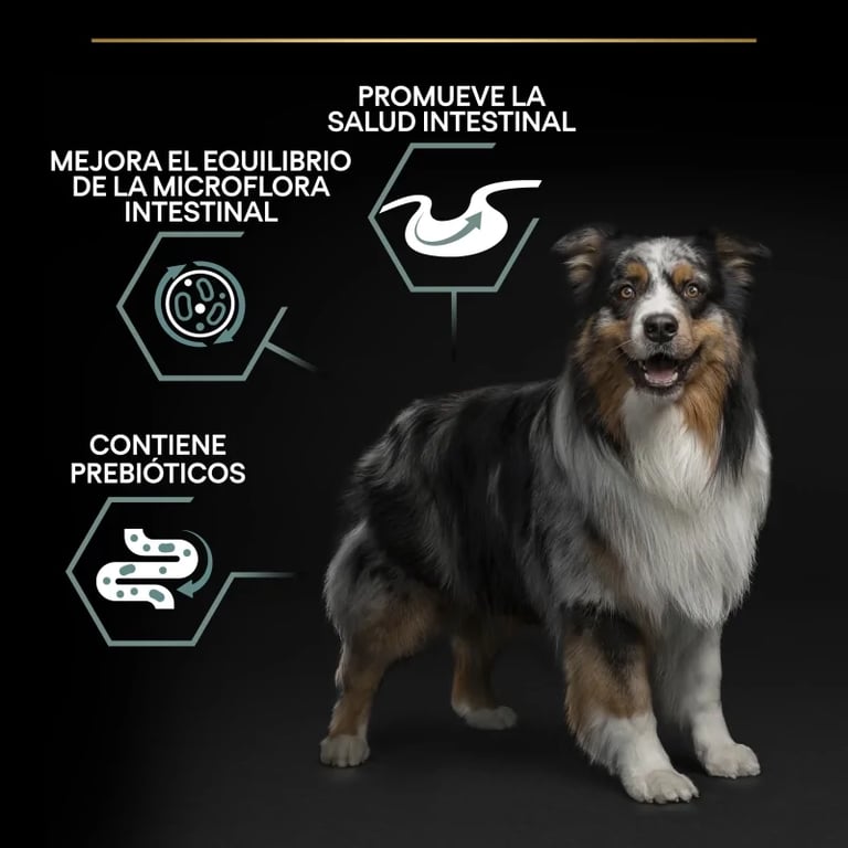 Cane Medio Agnello e Riso - imagen 11 de 11