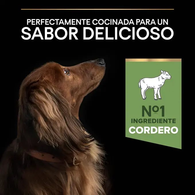 Perro Adult Small & Mini Sensitive Digestão - imagen 7 de 10
