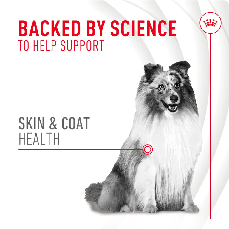 Skin Coat Chews Pelle e Pelo - imagen 2 de 8