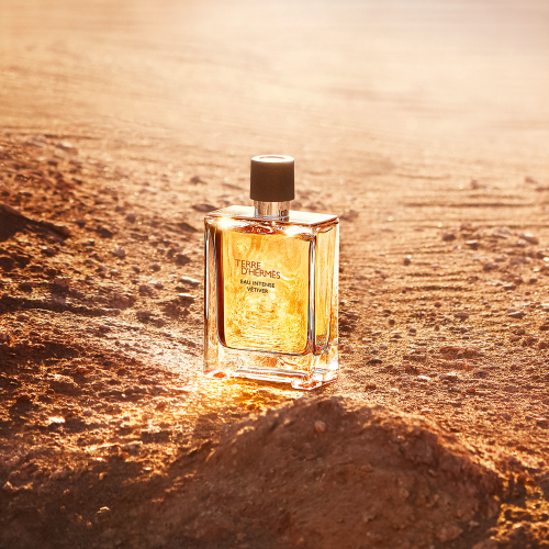 Terre D'Hermès Eau Intense Vétiver EDP 100 ml von Hermes