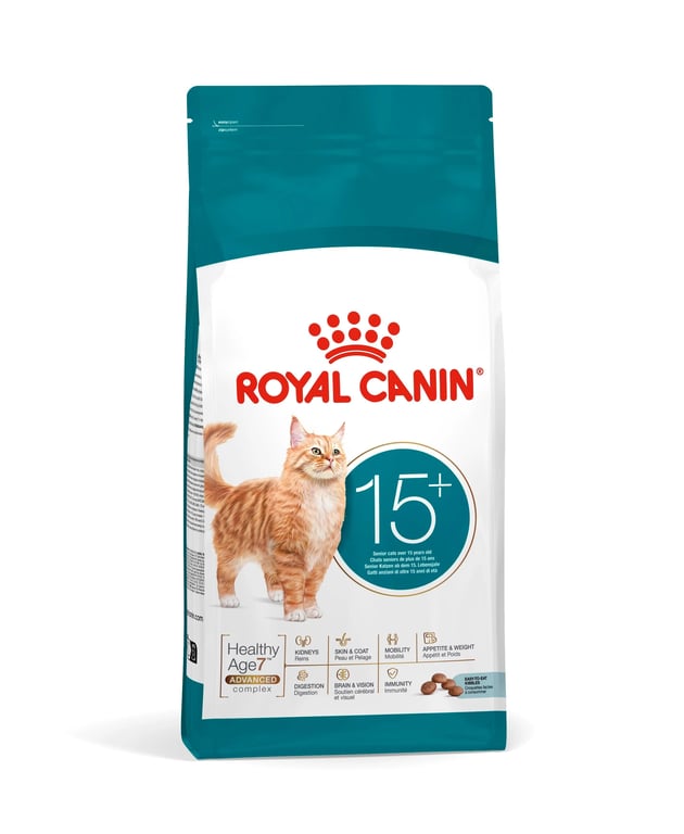 Ageing 15+ Gatto Senior
